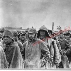 Скільки бійців Червоної Армії потрапило в полон у Велику Вітчизняну